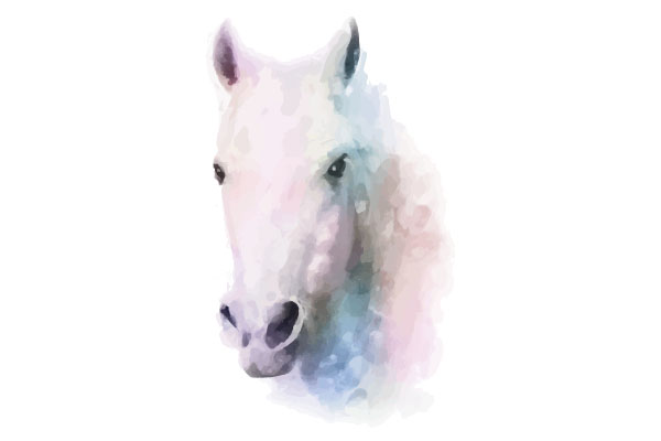 Equini