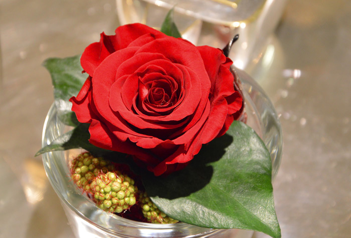 Rose e Fiori Stabilizzati, Noleggio Fiori Per Matrimoni, Maifrini Fiori