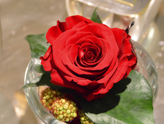 Rose Stabilizzate
