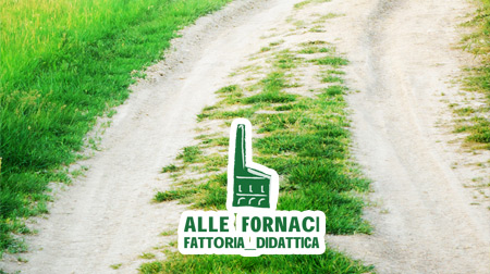 Officina delle Idee Officina delle Idee - Marketing e Sviluppo
