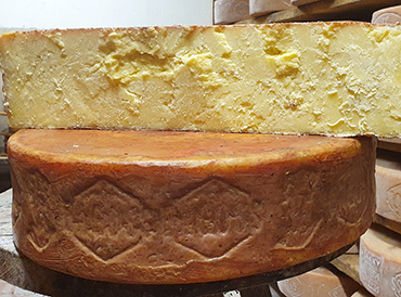 Bagoss - RCSA Italia