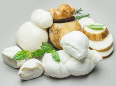 Vendita Formaggi Freschi di Qualità