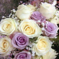 Maifrini Fiori