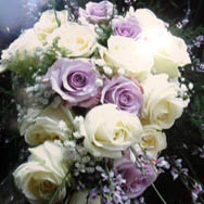 Maifrini Fiori