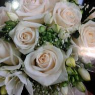 Maifrini Fiori