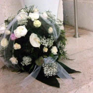 Maifrini Fiori