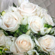 Maifrini Fiori