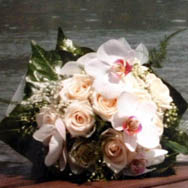Maifrini Fiori