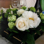 Maifrini Fiori