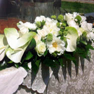 Maifrini Fiori