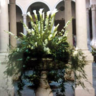 Maifrini Fiori