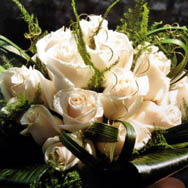 Maifrini Fiori