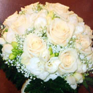 Maifrini Fiori