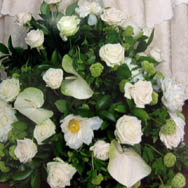 Maifrini Fiori