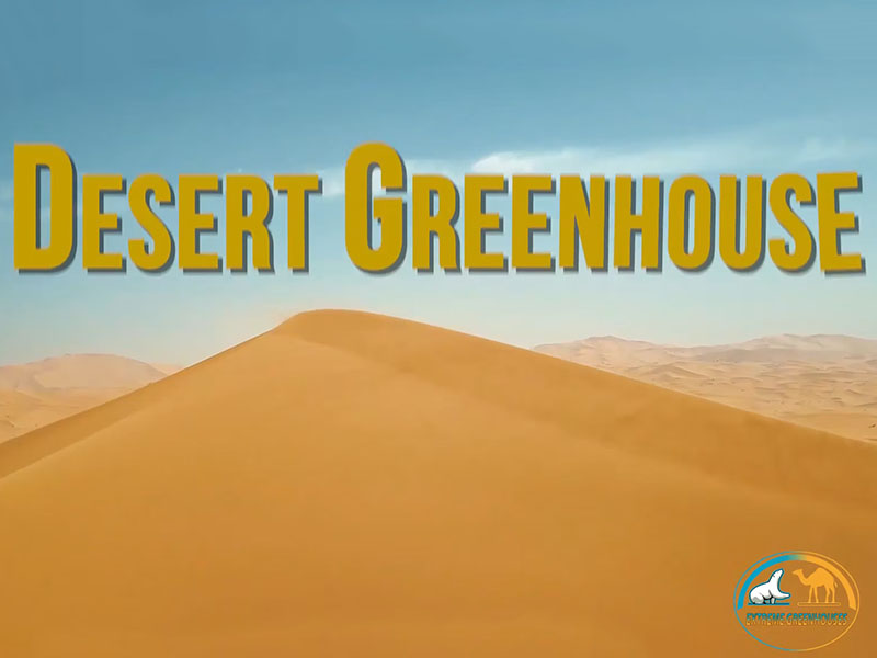 Extreme Greenhouses - Desertico