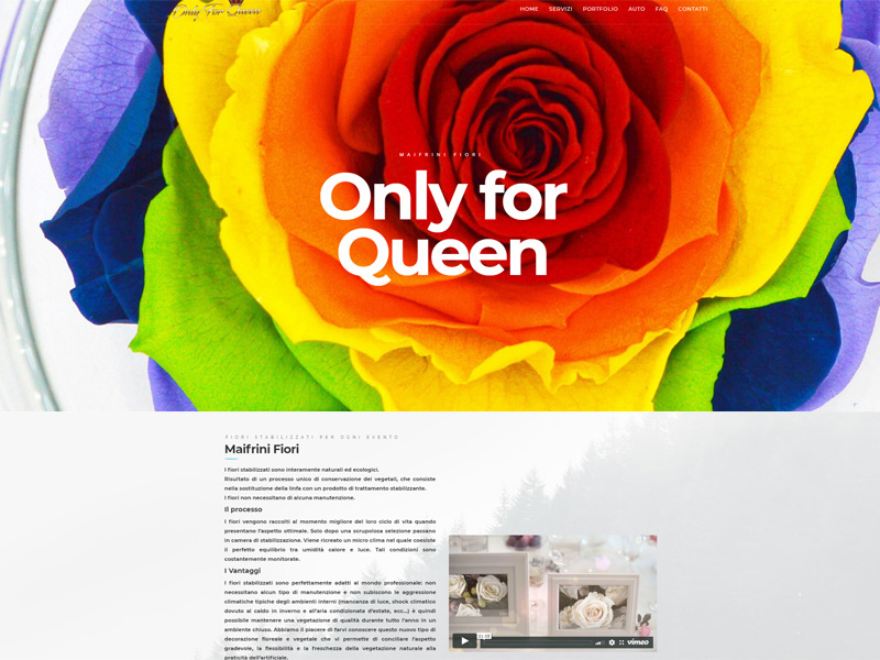 Only For Queen