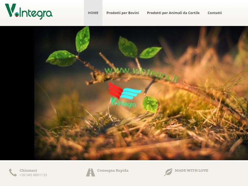 Vintegra